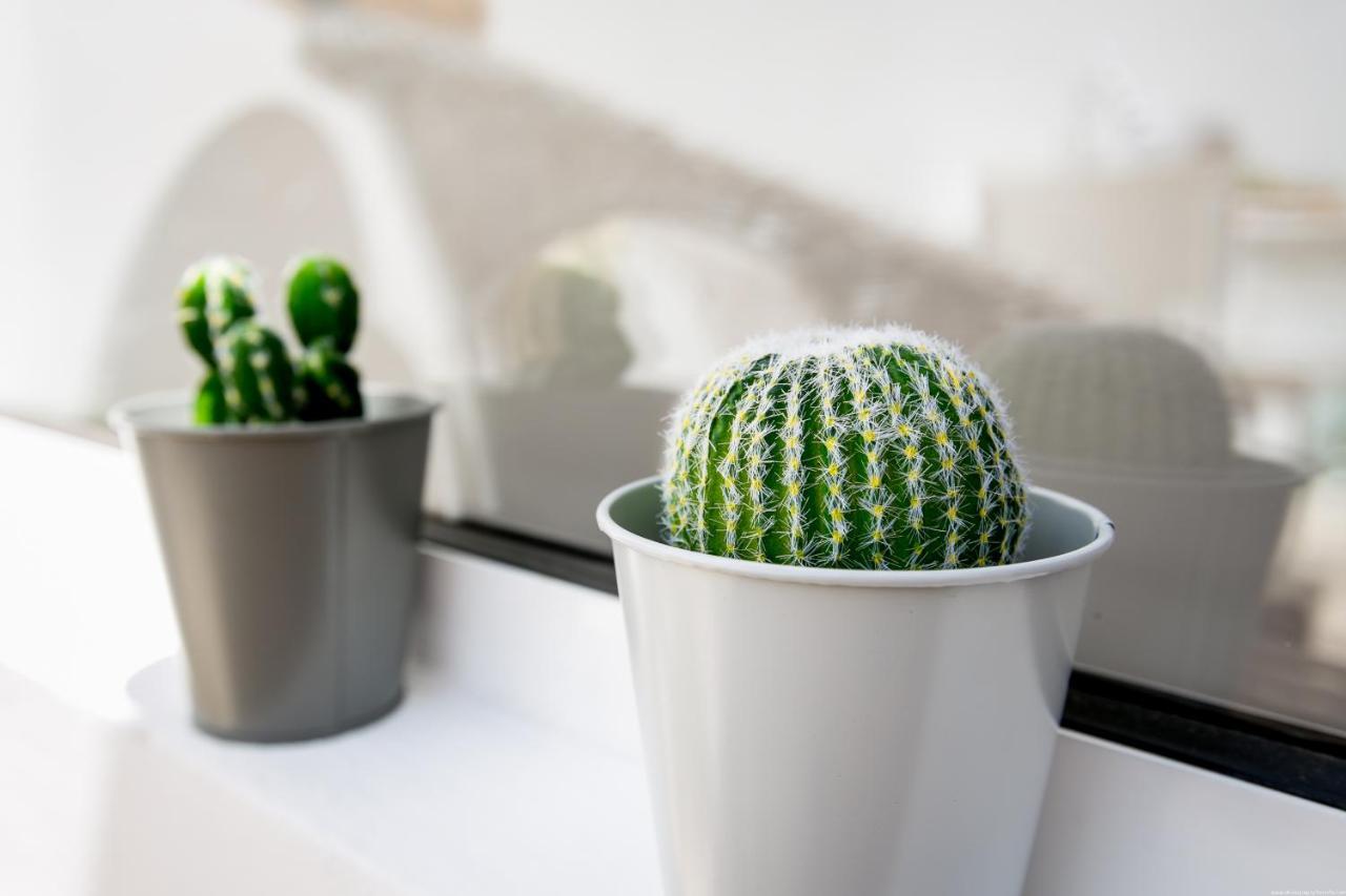 Cactus Apartment San Miguel de Abona Eksteriør bilde