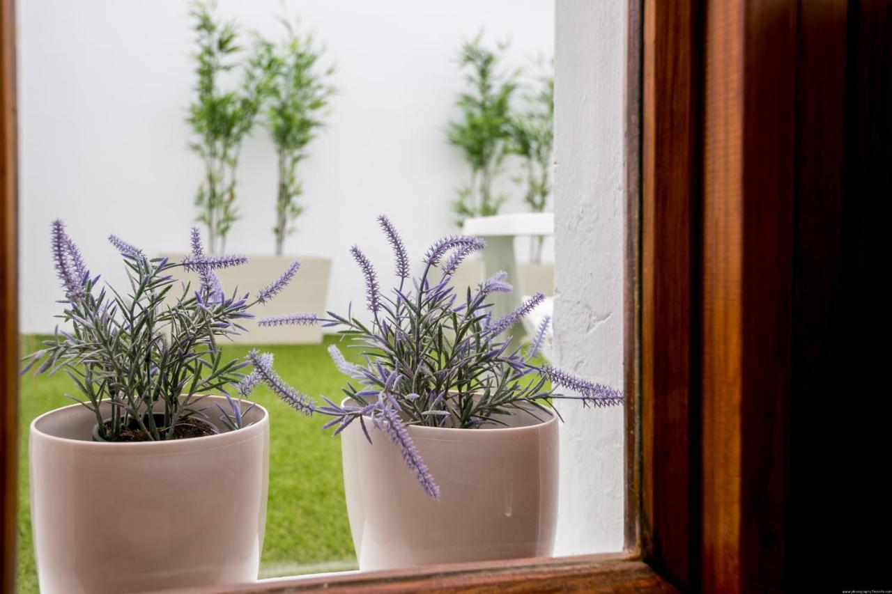 Cactus Apartment San Miguel de Abona Eksteriør bilde