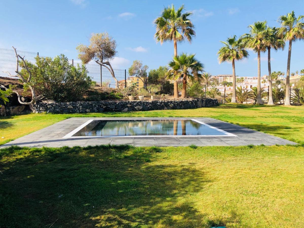 Cactus Apartment San Miguel de Abona Eksteriør bilde